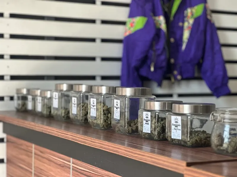 Panther THC Cannabis Shop
