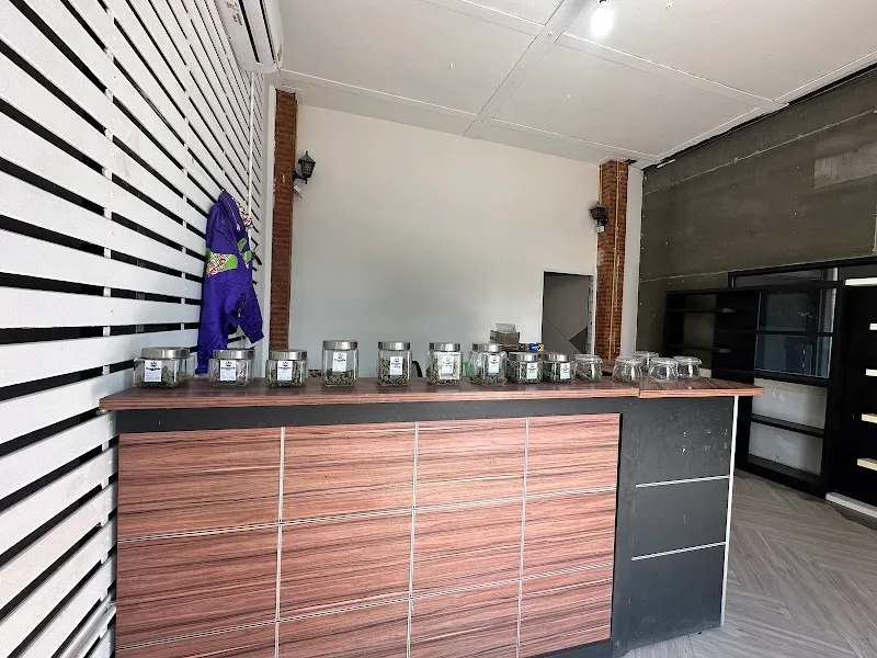 Panther THC Cannabis Shop