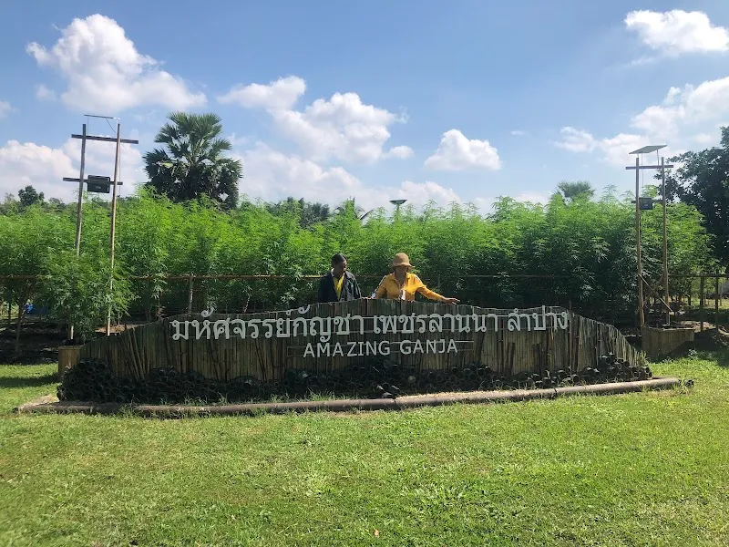 ฟาร์มเกษตรอินทรีย์เพชรล้านนา  Phet Lanna Organic Farm