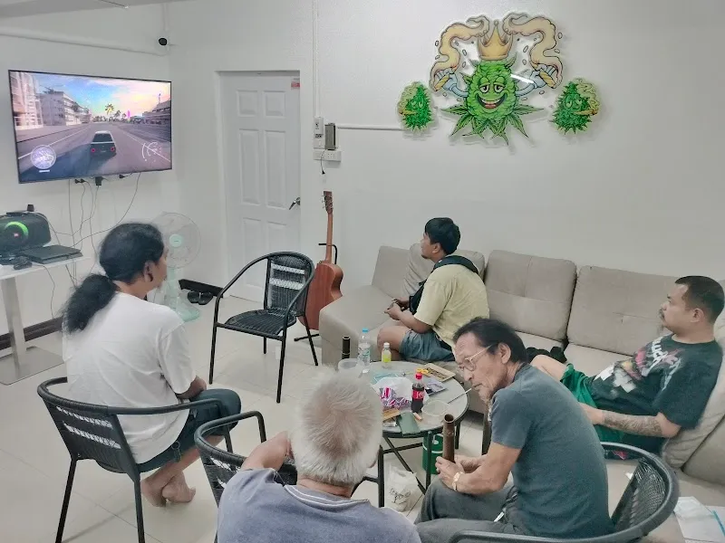 กัญชา pig jungle pakchong