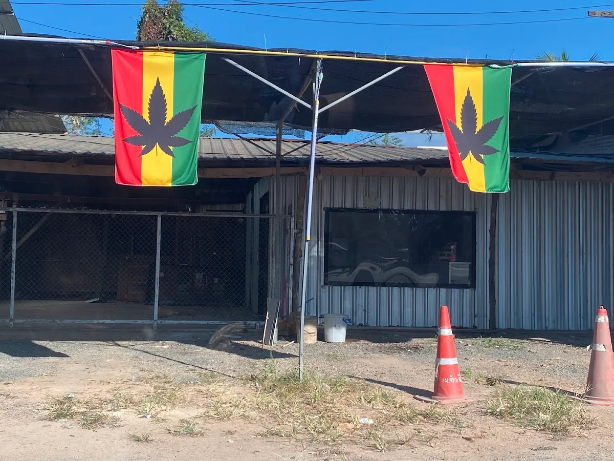 ร้านกัญชา ทศกัญ สาขาหนองระหาน