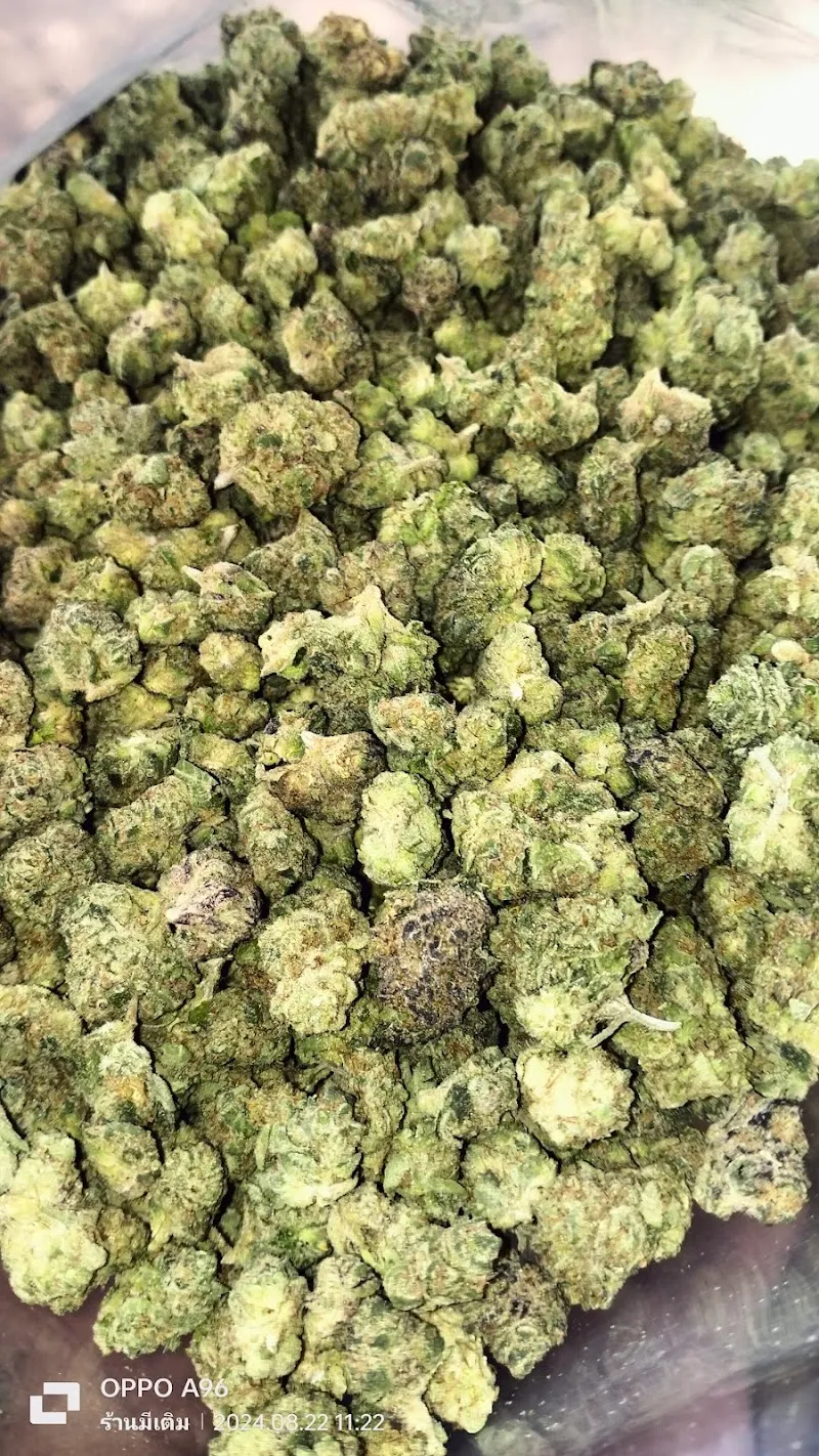 ร้านขายกัญชา มีเติมบุรีรัมย์