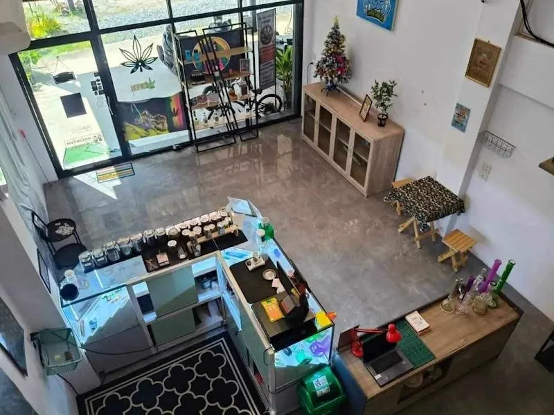 กัญชา สายยิ้ม จันทบุรี ใกล้ฉัน