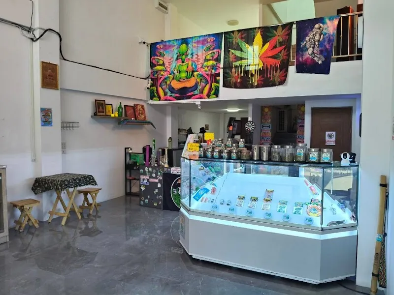 กัญชา สายยิ้ม จันทบุรี ใกล้ฉัน