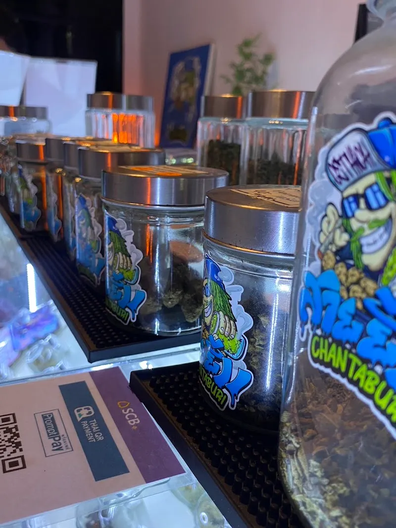 กัญชา สายยิ้ม จันทบุรี ใกล้ฉัน