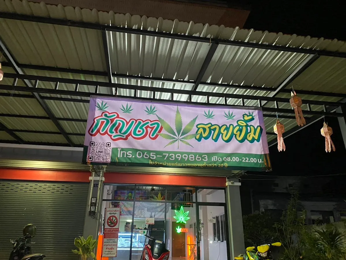 กัญชา สายยิ้ม จันทบุรี ใกล้ฉัน