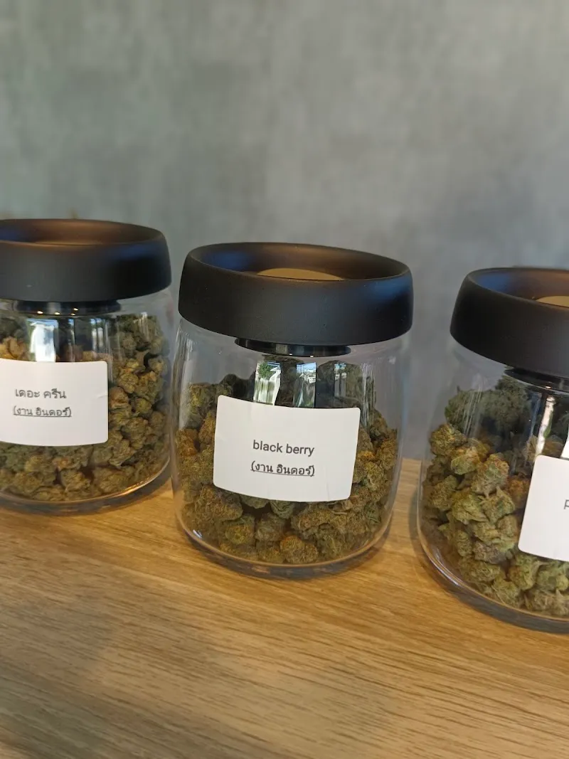 ร้านกัญชา มีเติม ห้วยราช