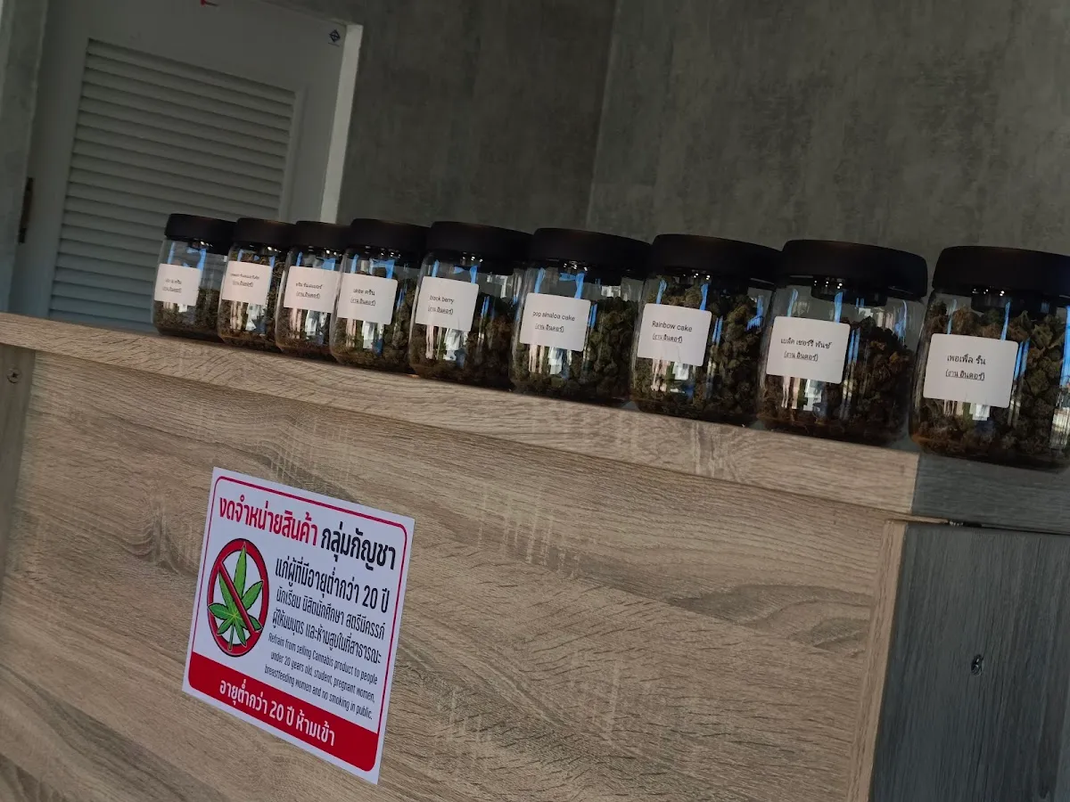 ร้านกัญชา มีเติม ห้วยราช