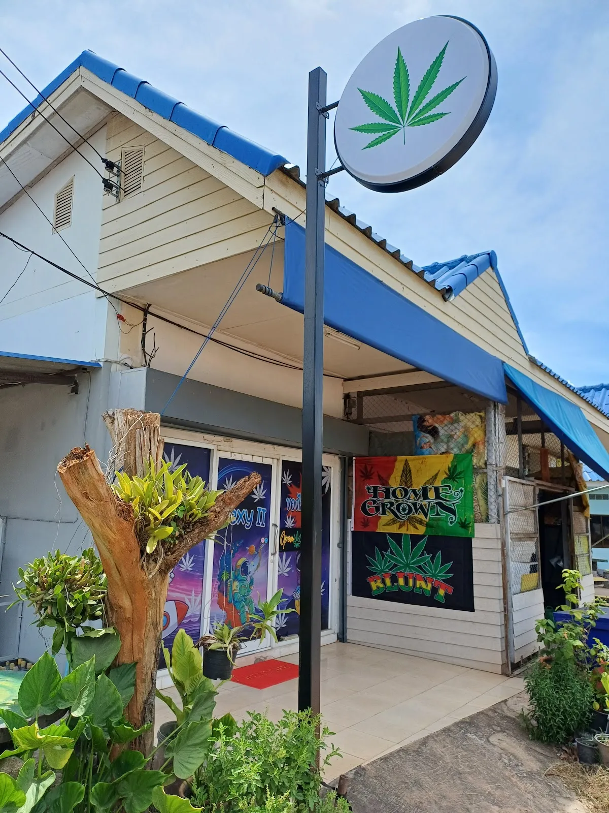 กัญชาใกล้ฉัน