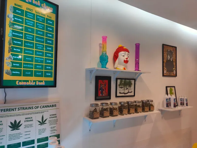 Psyhigh Kohchang Cannabis bank