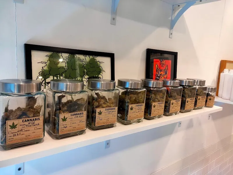 Psyhigh Kohchang Cannabis bank