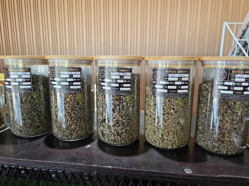 ร้านกัญชา เพียว เจเนติกส์ pure genetics cannabis