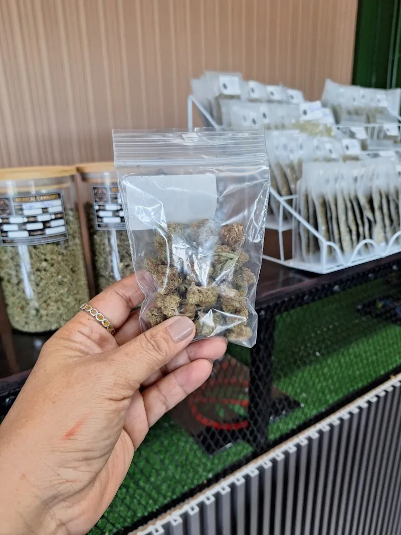 ร้านกัญชา เพียว เจเนติกส์ pure genetics cannabis