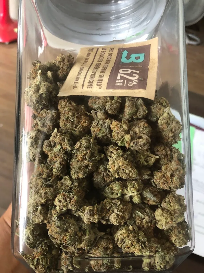 ไร่คุณกัญ Rai Khun Cannabis