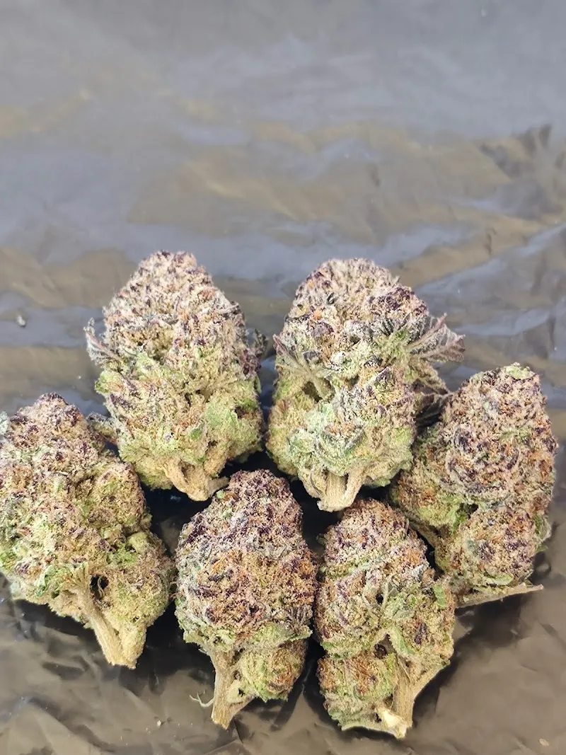 Rolling high cannabis