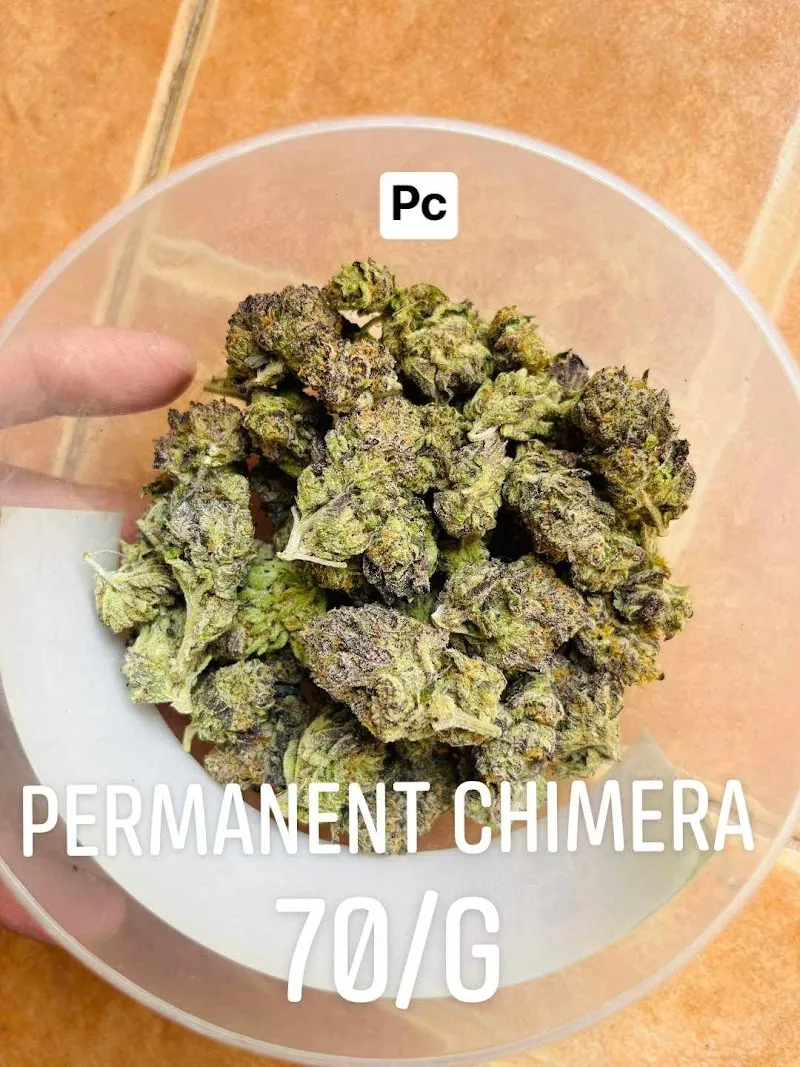 Rolling high cannabis