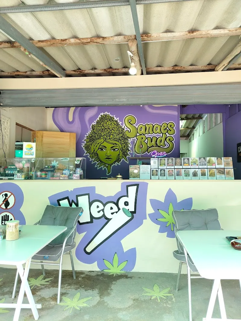 Sanaes buds koh chang