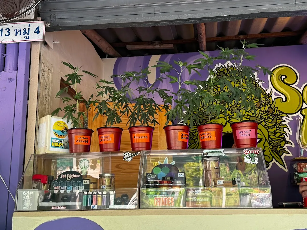 Sanaes buds koh chang