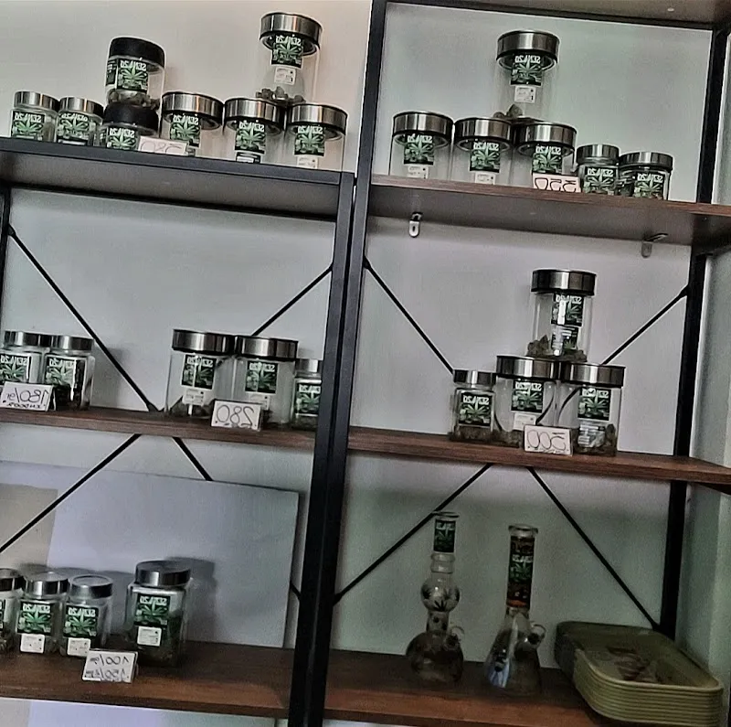 SEN4.20 (แสน4.20 กัญชา นางรอง)