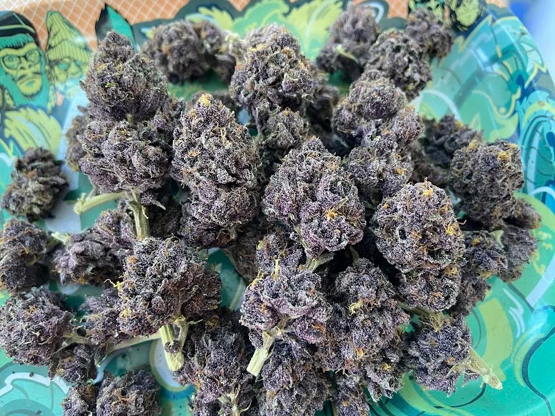 Slow High Cannabis Store Khonkaen