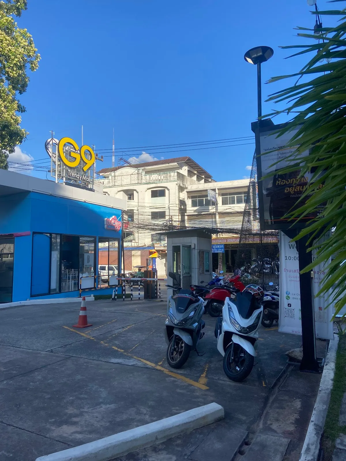 Slow High Cannabis Store Khonkaen