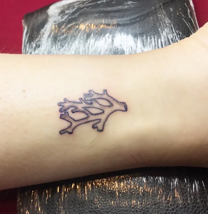 Smile Turtle - Cannabis