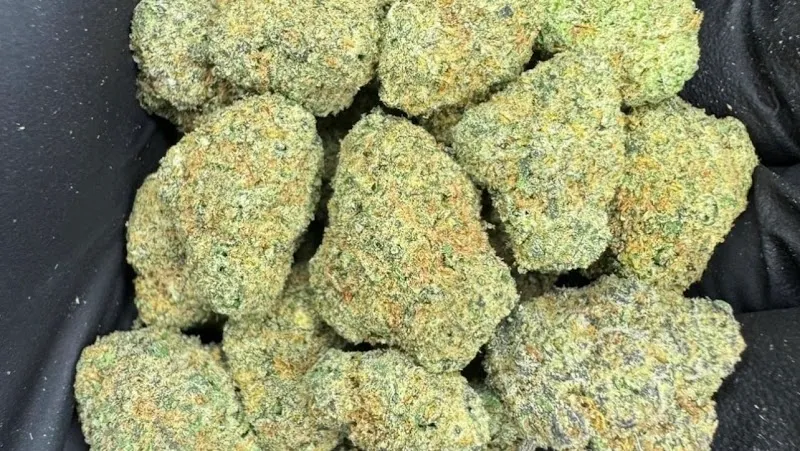 Spedduck ร้านกัญชาใกล้ฉัน