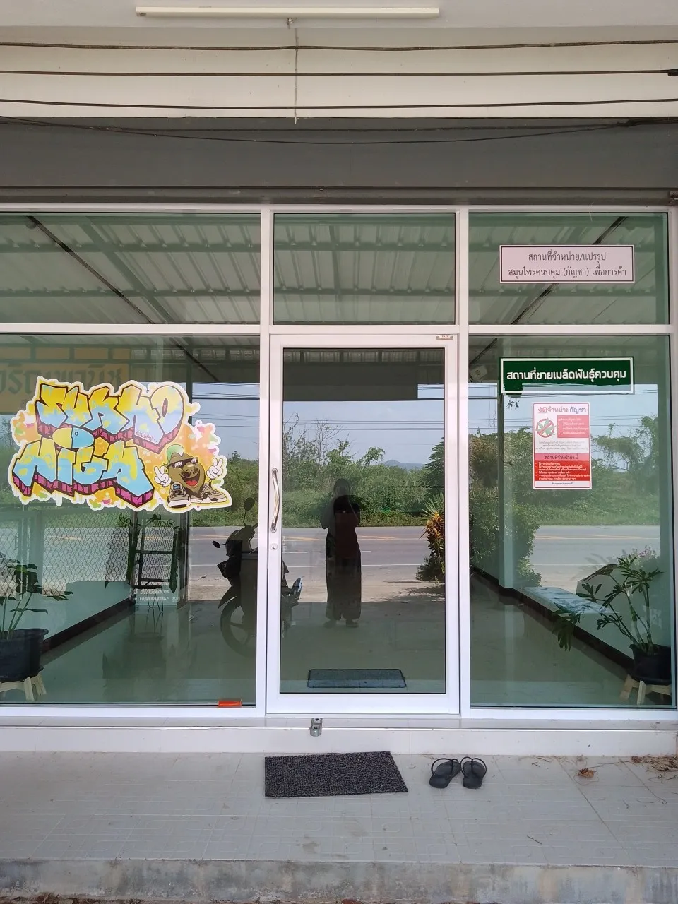 ร้านกัญชา Sukho High Shop