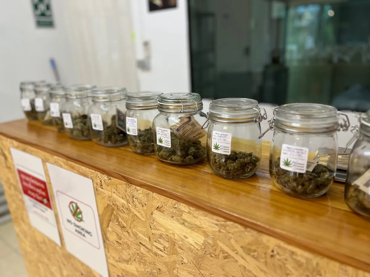 Suppaweed กัญ & เกม