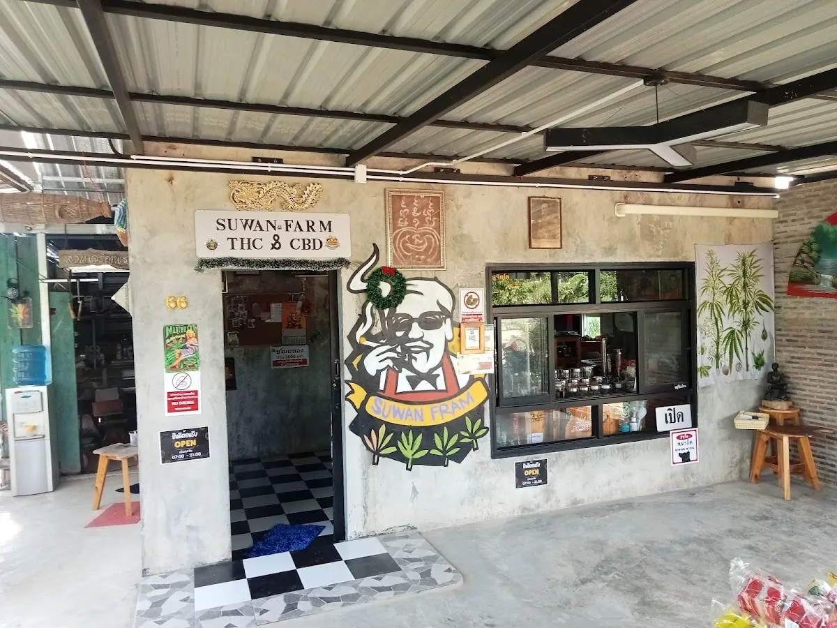 SUWAN FRAM CANNABIS