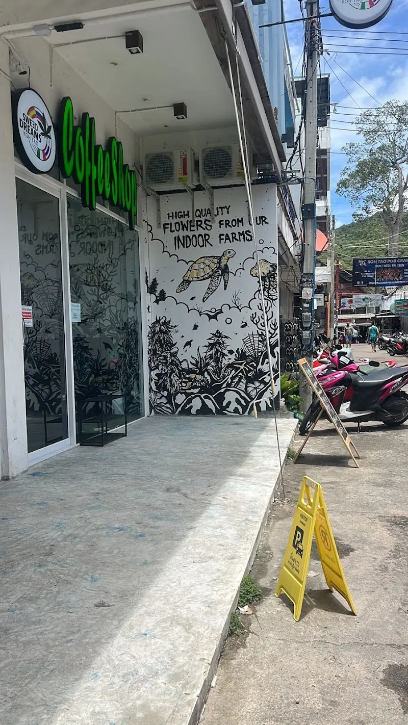 Sweed Dreams Thai