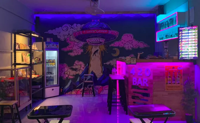 SWEED UPPER weed shop