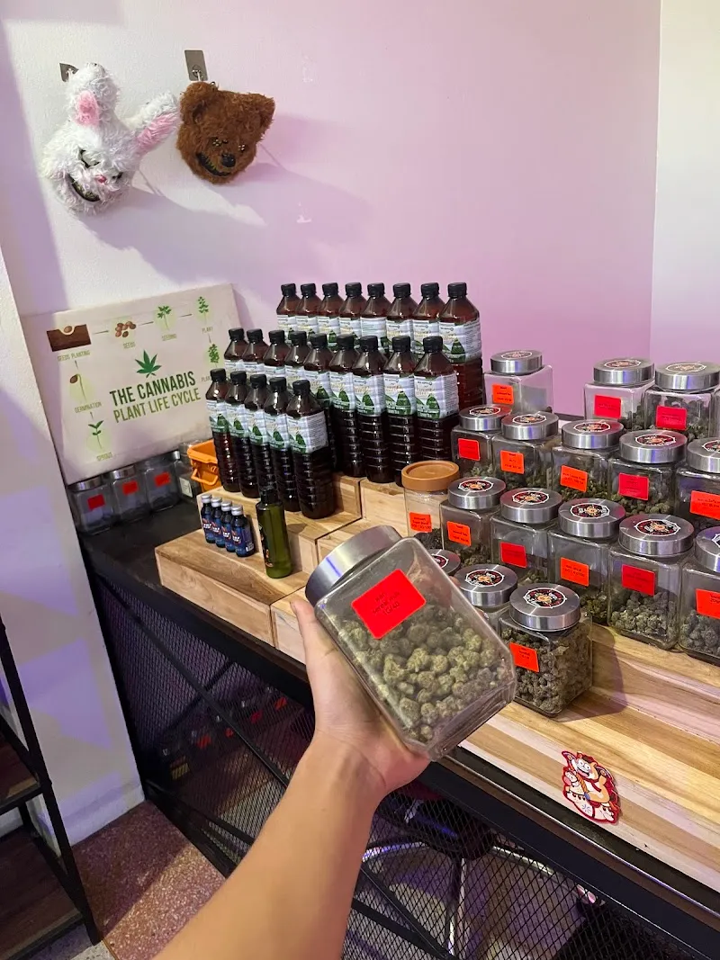 Teddy bear 420 สาขาสุระ2