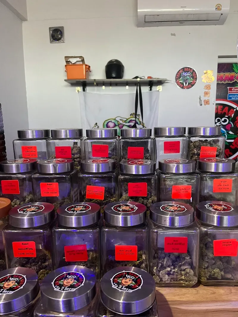 Teddy bear 420 สาขาสุระ2