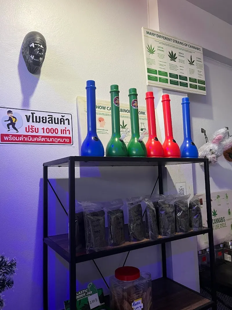 Teddy bear 420 สาขาสุระ2