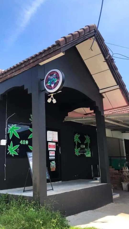 TEDDY BEAR 420 สาขา30กันยา