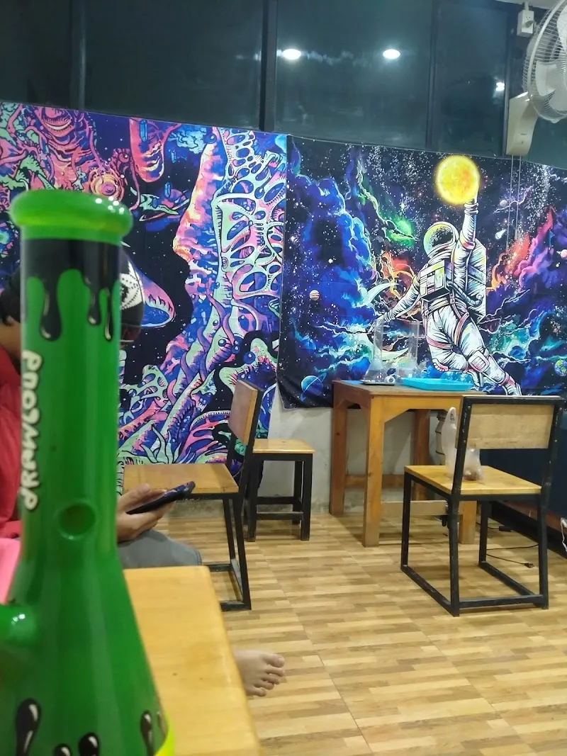 Teddy Bear 420 สาขาหนองตาคง (cannabis)