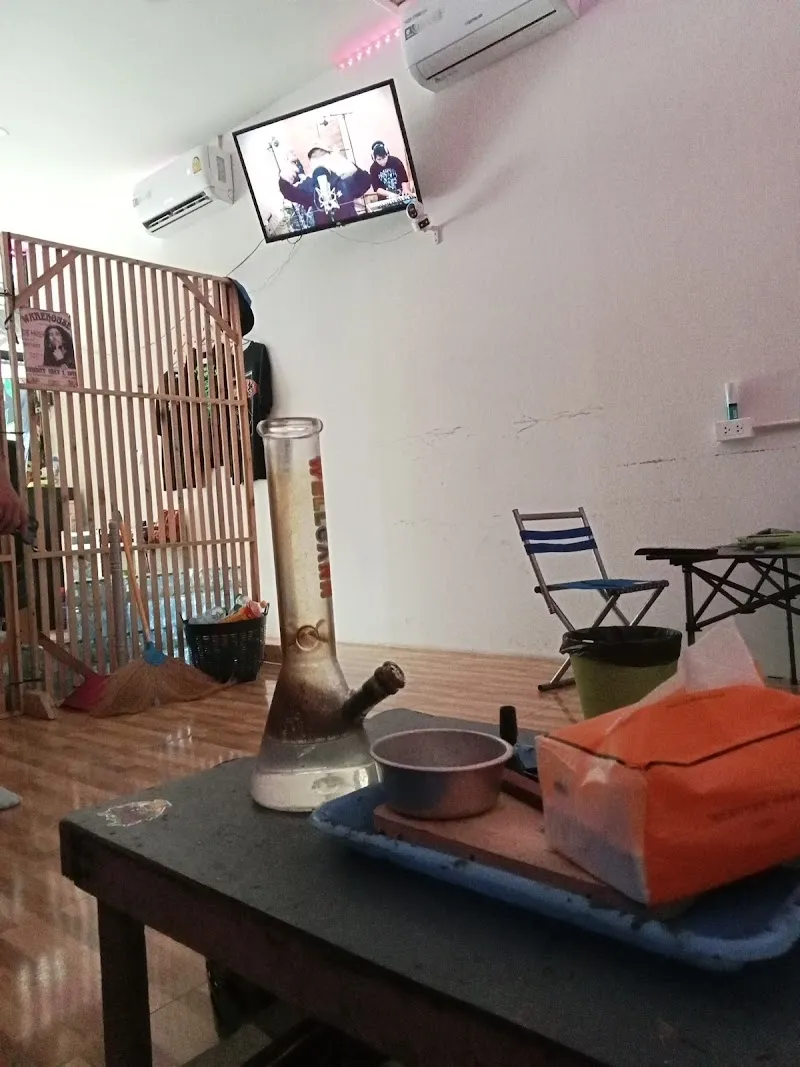 Teddy Bear 420 สาขาหนองตาคง (cannabis)