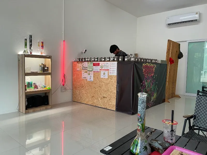 Teddy Bear 420 สาขาหน้าเขตอุตสาหกรรม(Cannabis)