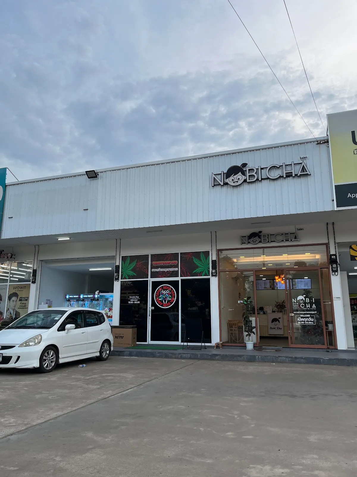 Teddy Bear 420 สาขาหน้าเขตอุตสาหกรรม(Cannabis)