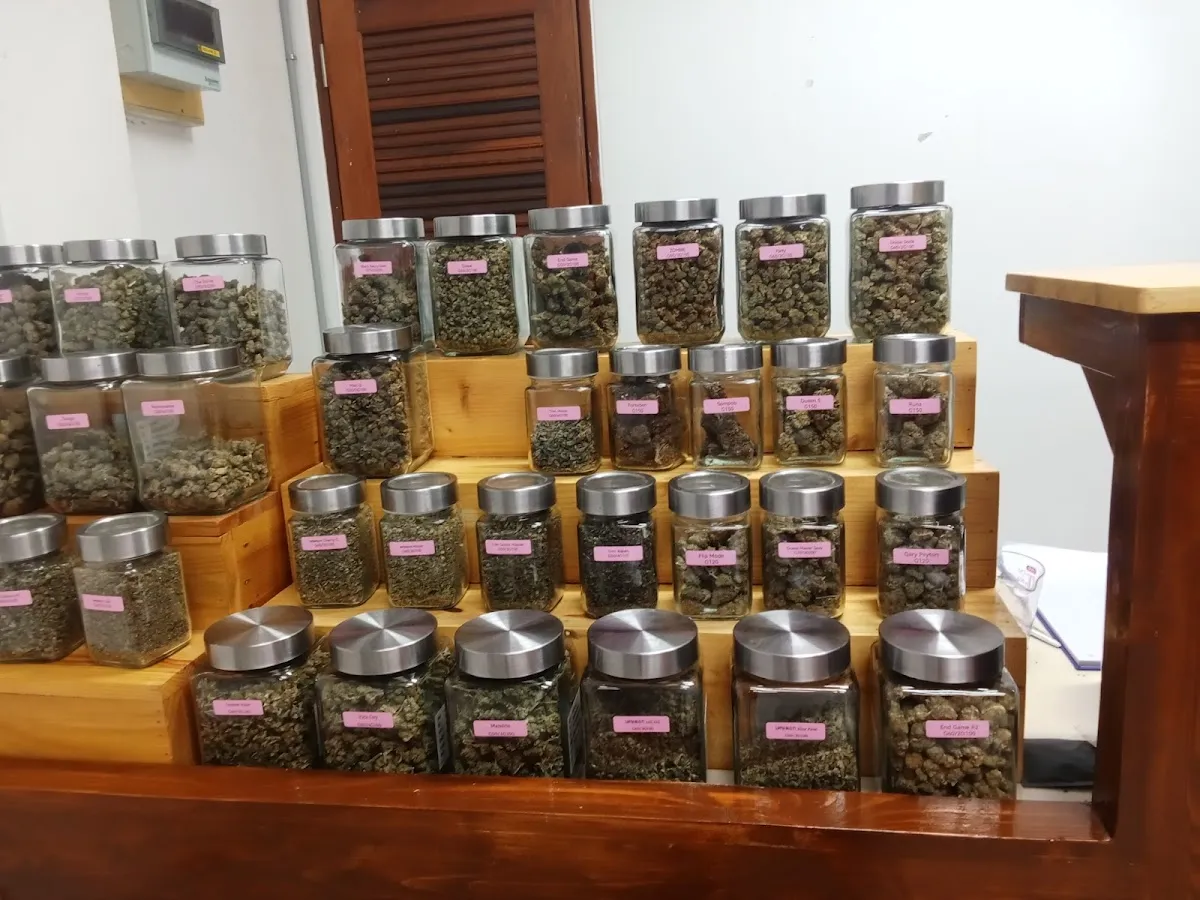 TEDDY BEAR 420 สาขาเซฟวัน