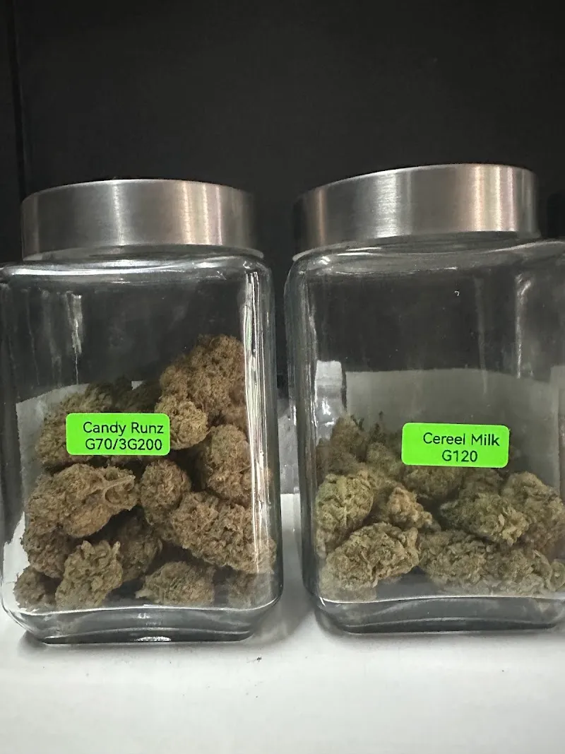 teddy bear420 สาขามทสประตู4