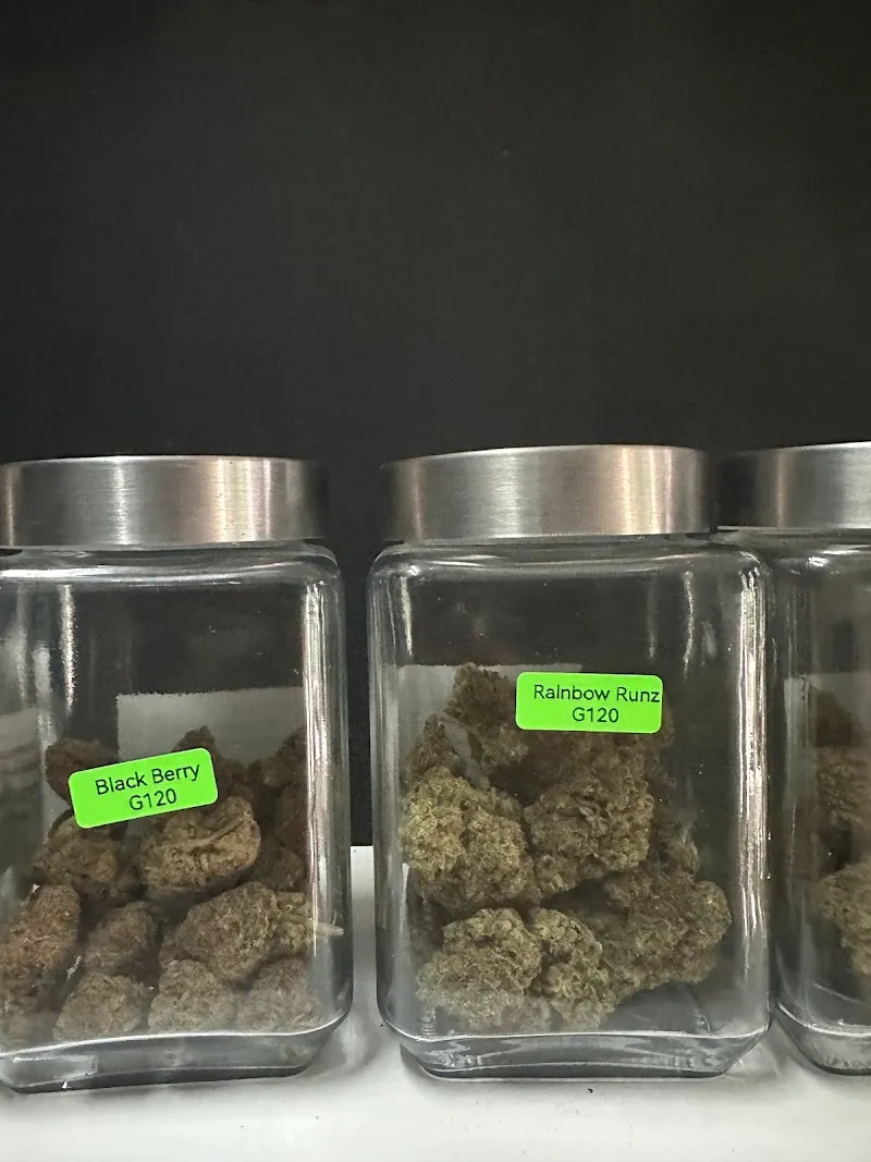 teddy bear420 สาขามทสประตู4