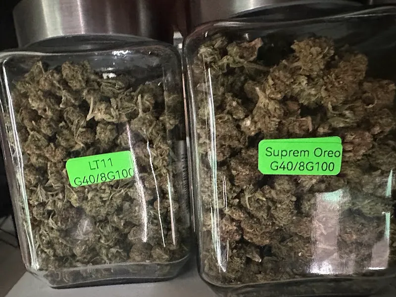 teddy bear420 สาขามทสประตู4