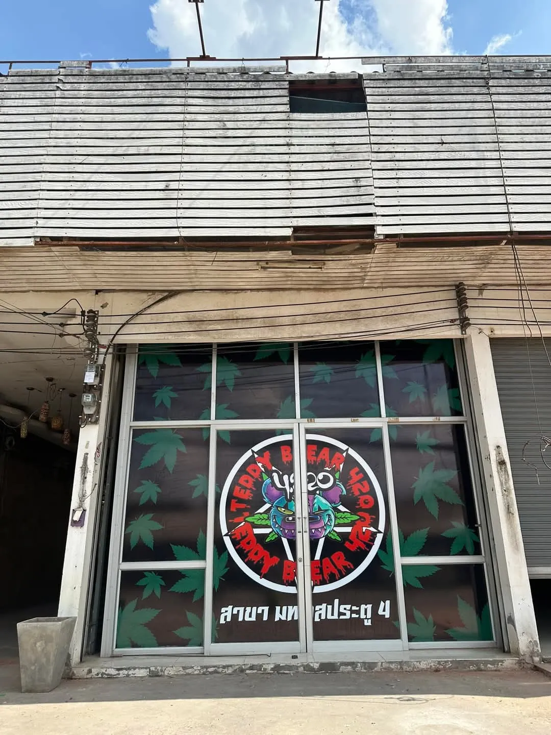 teddy bear420 สาขามทสประตู4