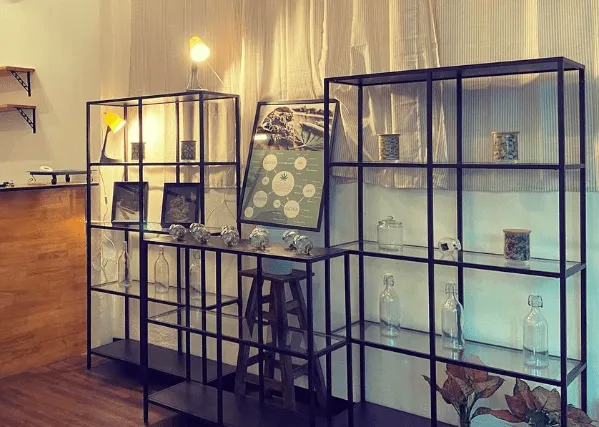 Tenderloin WEED Bangkok