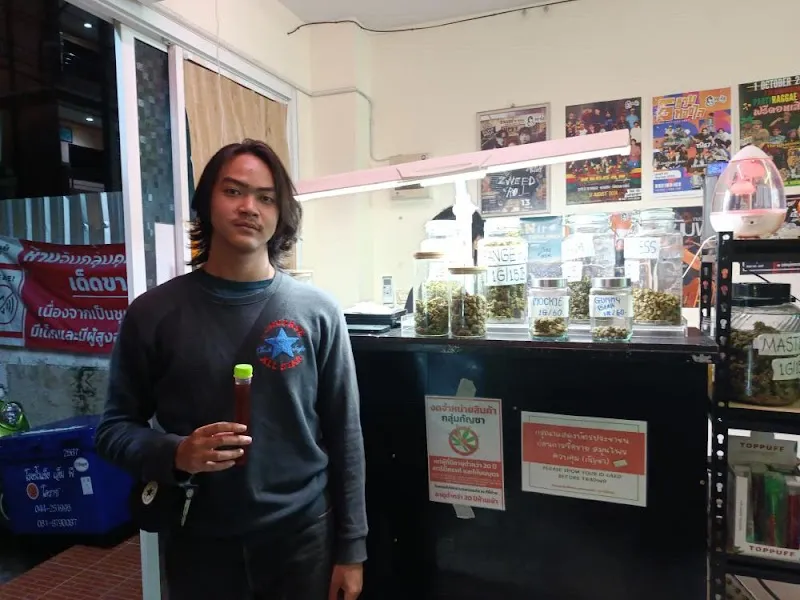 TermsookCannabis30Kanya