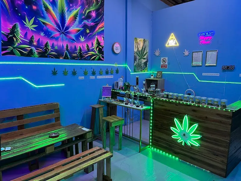 ร้านกัญชาThaThong Cannabis (สาขากาญจนดิษฐ์)