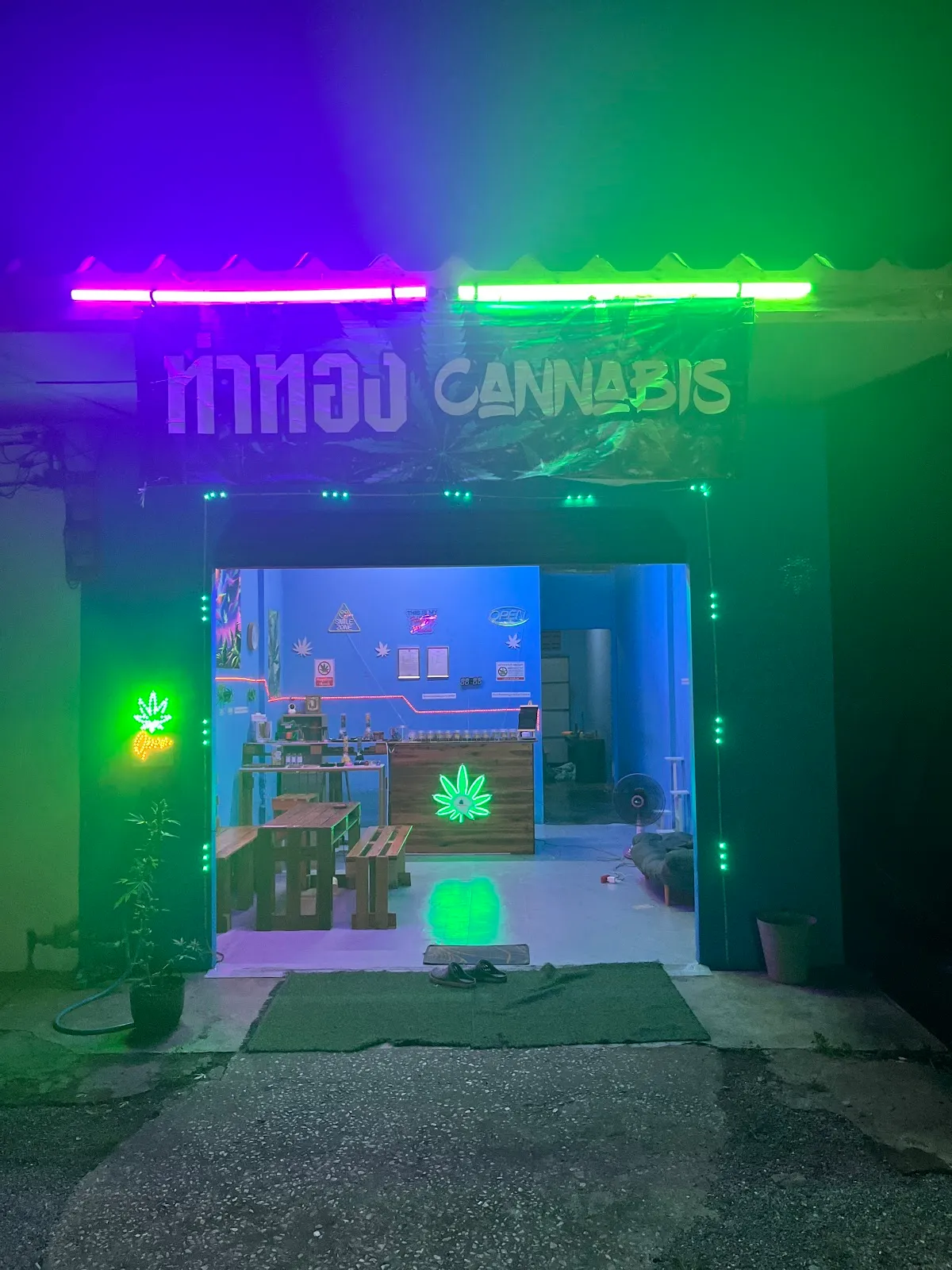 ร้านกัญชาThaThong Cannabis (สาขากาญจนดิษฐ์)