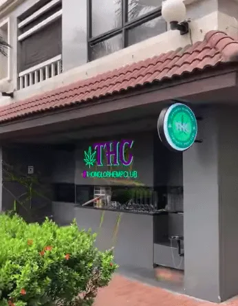 THC (Thonglor Hemp Club)